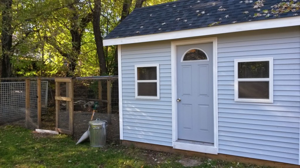 Chicken Coop Siding